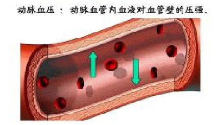 血壓？ 為什么需要做有創血壓監測