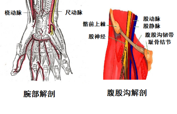 股動脈鞘管留置時間