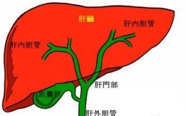 經皮導入器：一種肝膽微創手術利器